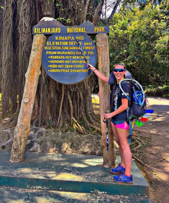 1-Day Hike Mt Kilimanjaro via Marangu Route