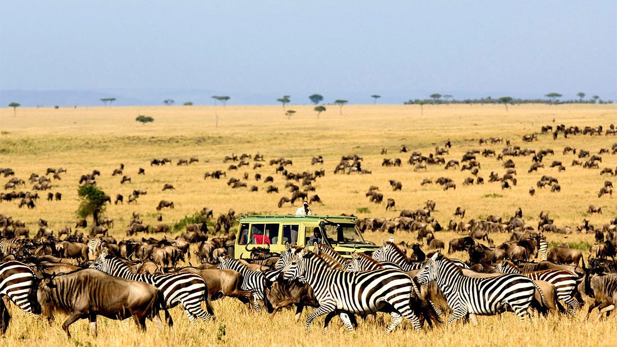 Serengeti