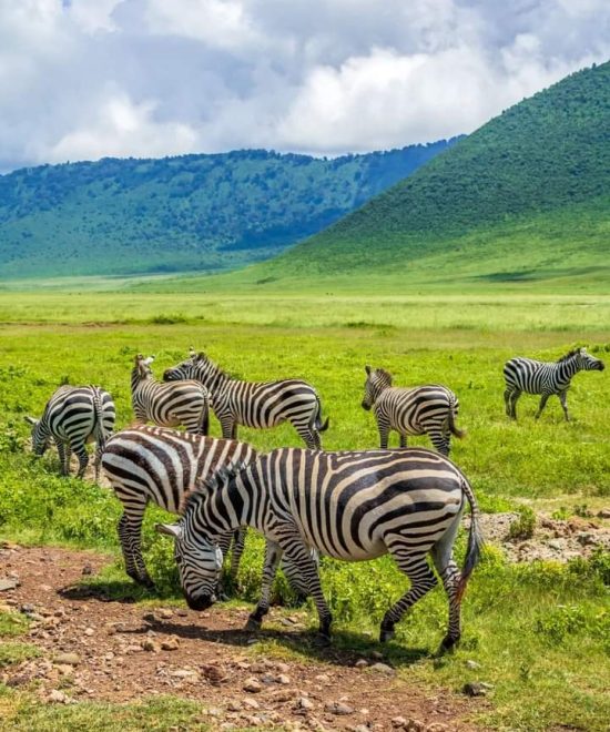 10-Day Great Migration, Culture & Acidic Lakes Safari