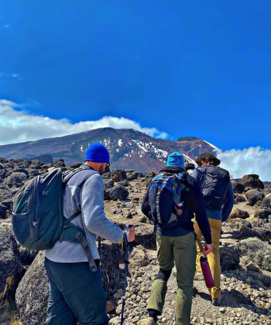 9-Day Kilimanjaro via Lemosho Route